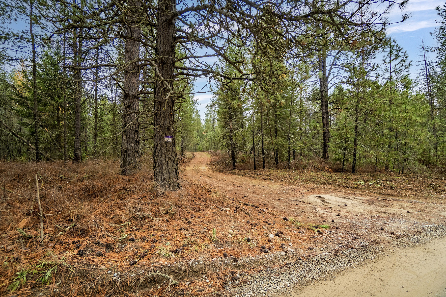 30766 N Riffle Rd, Spirit Lake, ID 83869